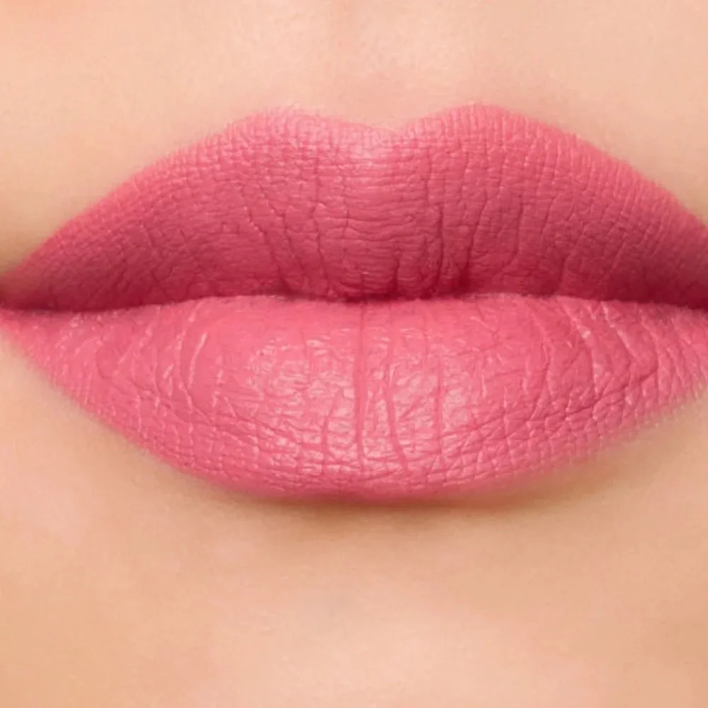 NIB COVERFX SPICED CINNAMON LIP COLOR